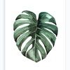 styletobegreen